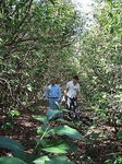 daterra3.jpg