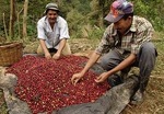 guatemala.jpg
